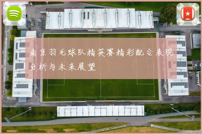 南京羽毛球队精英赛精彩配合表现分析与未来展望