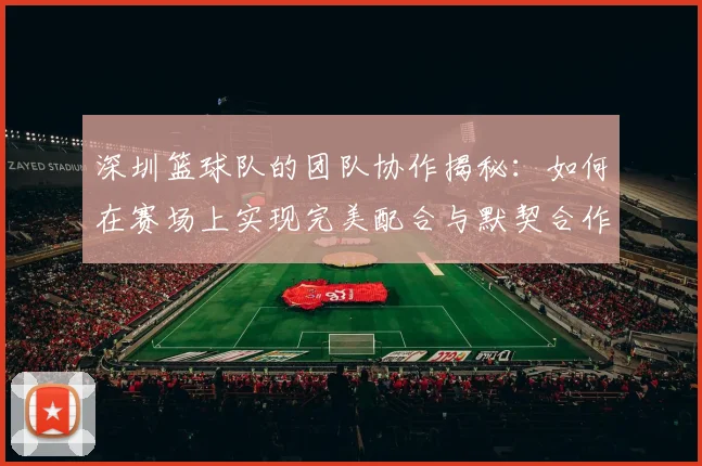 深圳篮球队的团队协作揭秘：如何在赛场上实现完美配合与默契合作