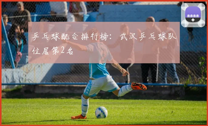 乒乓球配合排行榜：武汉乒乓球队位居第2名