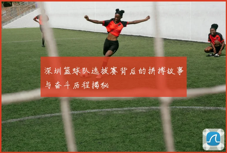 深圳篮球队选拔赛背后的拼搏故事与奋斗历程揭秘