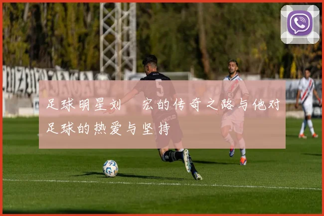 足球明星刘畊宏的传奇之路与他对足球的热爱与坚持