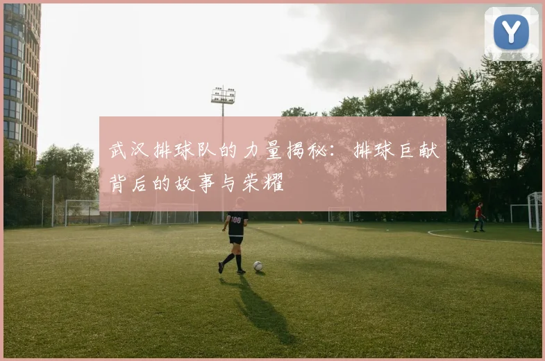 武汉排球队的力量揭秘：排球巨献背后的故事与荣耀