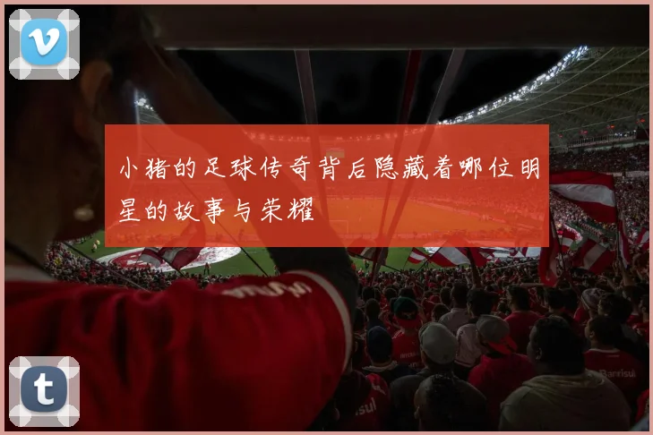 小猪的足球传奇背后隐藏着哪位明星的故事与荣耀