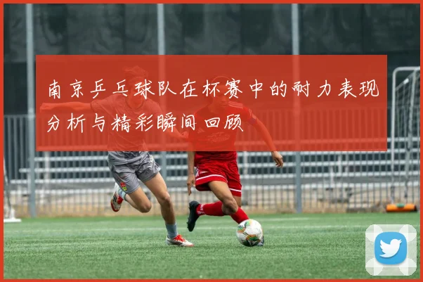 南京乒乓球队在杯赛中的耐力表现分析与精彩瞬间回顾