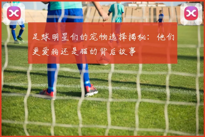 足球明星们的宠物选择揭秘：他们更爱狗还是猫的背后故事