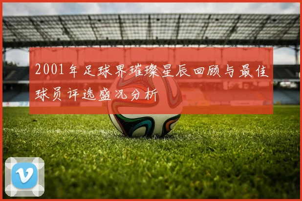 2001年足球界璀璨星辰回顾与最佳球员评选盛况分析