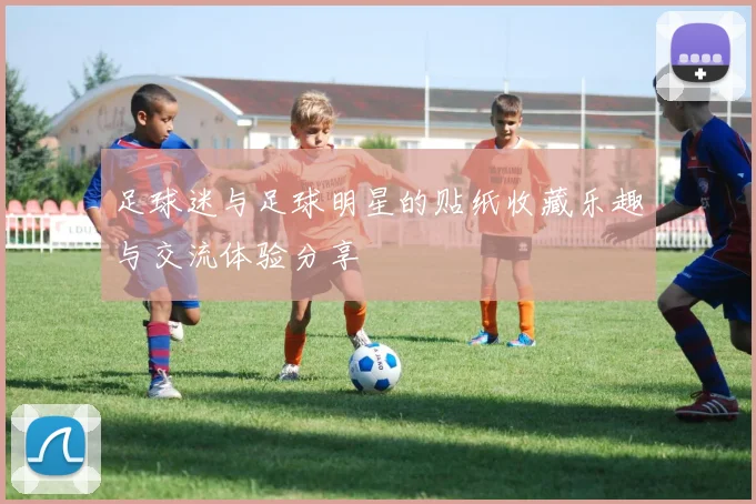 足球迷与足球明星的贴纸收藏乐趣与交流体验分享