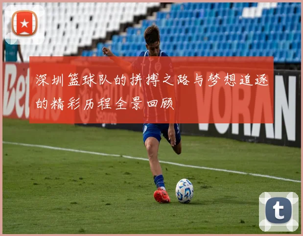 深圳篮球队的拼搏之路与梦想追逐的精彩历程全景回顾
