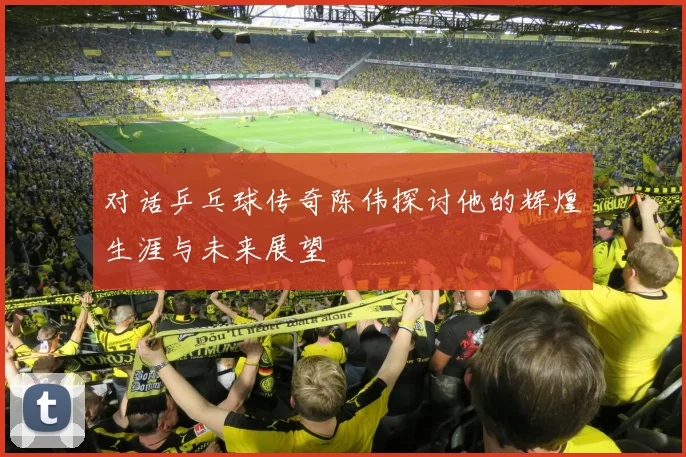 对话乒乓球传奇陈伟探讨他的辉煌生涯与未来展望