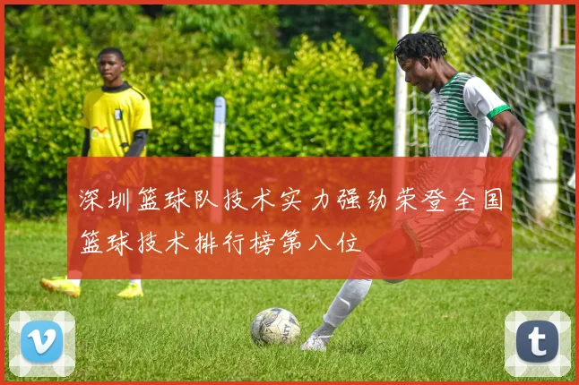 深圳篮球队技术实力强劲荣登全国篮球技术排行榜第八位