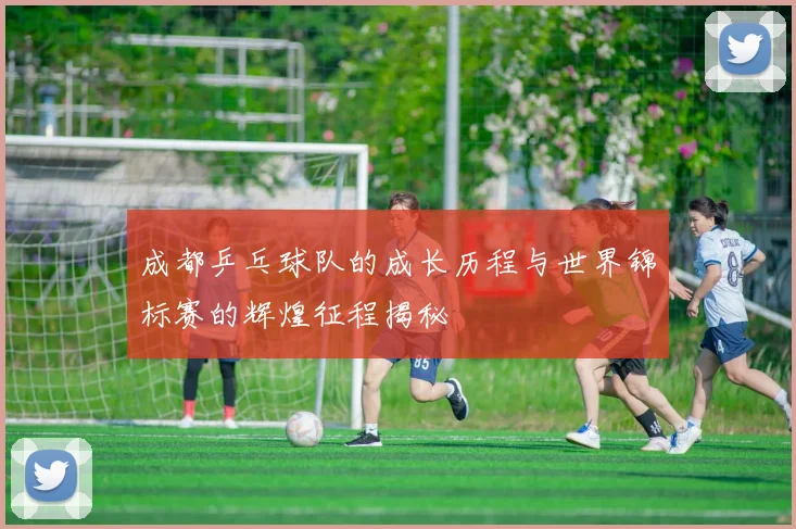 成都乒乓球队的成长历程与世界锦标赛的辉煌征程揭秘