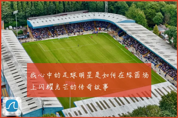 我心中的足球明星是如何在绿茵场上闪耀光芒的传奇故事