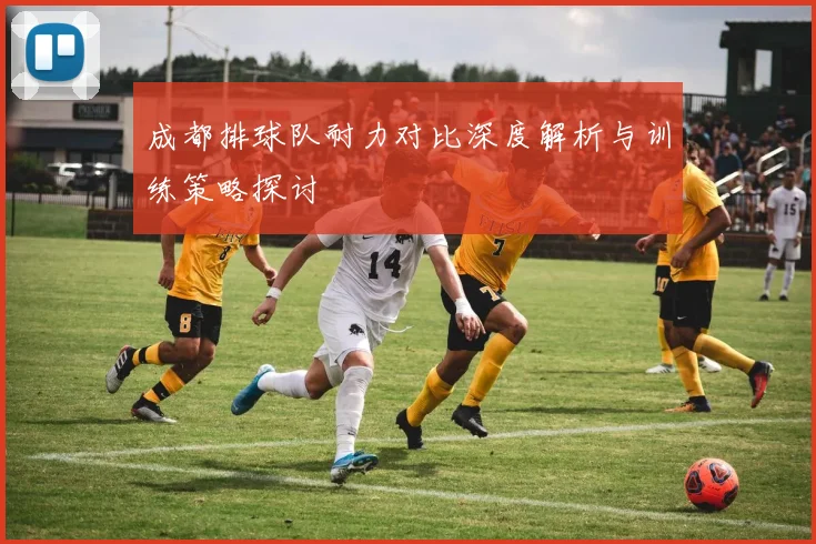 成都排球队耐力对比深度解析与训练策略探讨